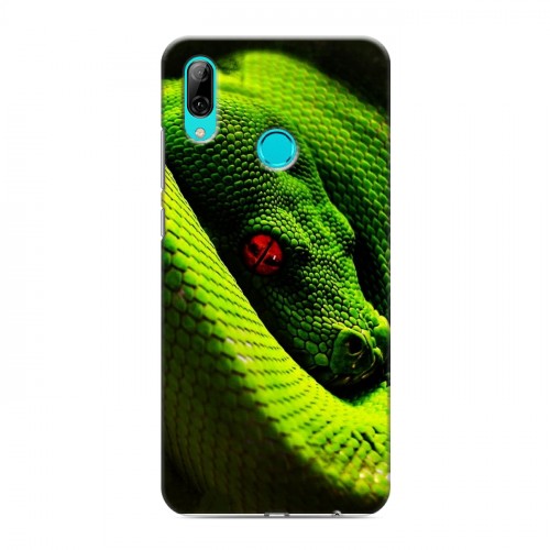 Дизайнерский пластиковый чехол для Huawei Y7 (2019) Змеи