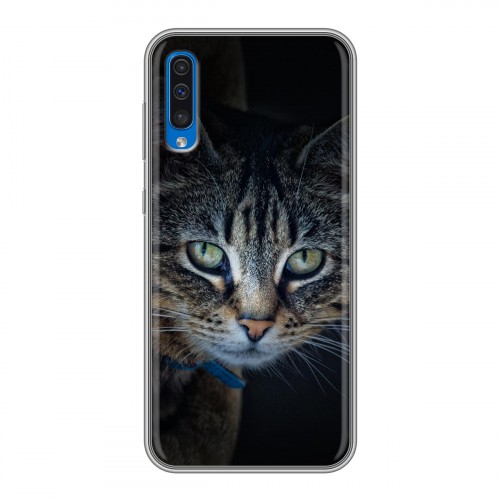 Дизайнерский силиконовый чехол для Samsung Galaxy A50 Кошки