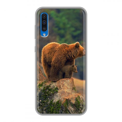 Дизайнерский пластиковый чехол для Samsung Galaxy A50 Медведи