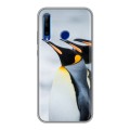 Дизайнерский силиконовый чехол для Huawei Honor 10i Пингвины