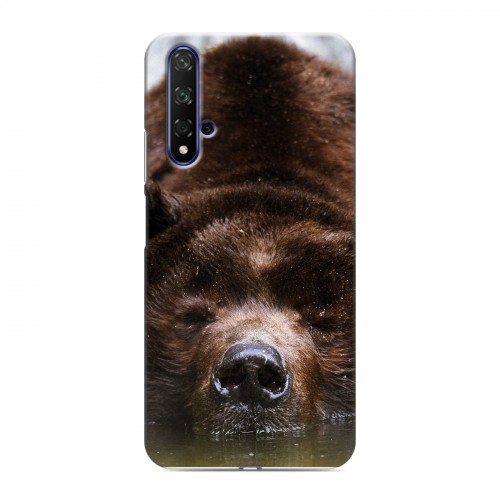Дизайнерский силиконовый чехол для Huawei Honor 20 Медведи