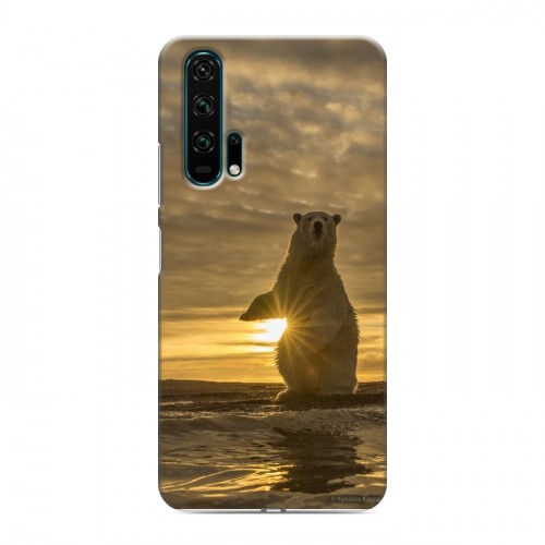 Дизайнерский силиконовый чехол для Huawei Honor 20 Pro Медведи
