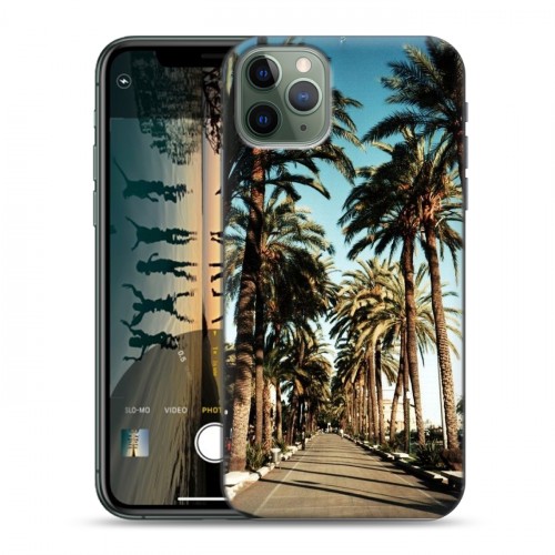 Дизайнерский пластиковый чехол для Iphone 11 Pro Max Hawaii