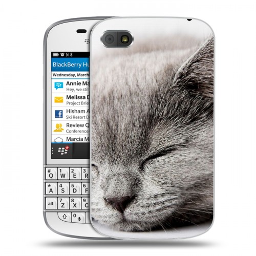 Дизайнерский пластиковый чехол для BlackBerry Q10 Коты