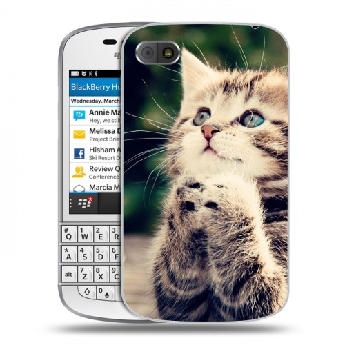Дизайнерский пластиковый чехол для BlackBerry Q10 Котята