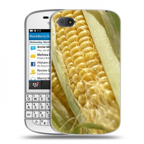 Дизайнерский пластиковый чехол для BlackBerry Q10 Кукуруза