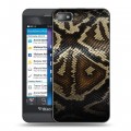 Дизайнерский пластиковый чехол для BlackBerry Z10 Кожа змей