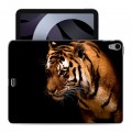 Дизайнерский силиконовый чехол для Ipad Air (2020) Тигры