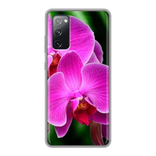 Дизайнерский силиконовый чехол для Samsung Galaxy S20 FE Орхидеи