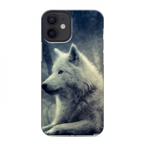 Дизайнерский силиконовый с усиленными углами чехол для Iphone 12 Mini Волки