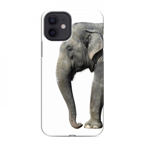Дизайнерский силиконовый чехол для Iphone 12 Слоны
