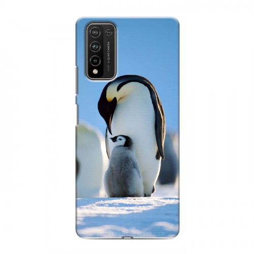 Дизайнерский пластиковый чехол для Huawei Honor 10X Lite Пингвины