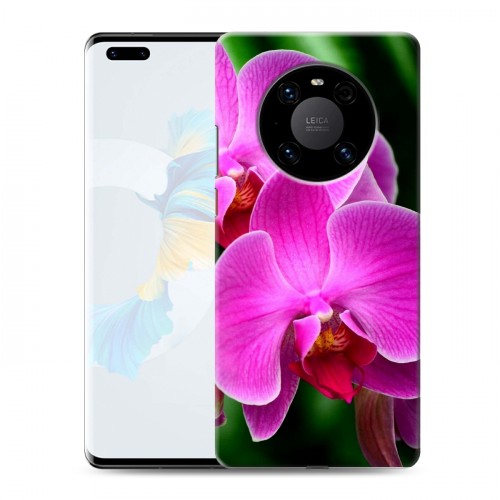 Дизайнерский пластиковый чехол для Huawei Mate 40 Pro Орхидеи