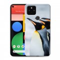 Дизайнерский пластиковый чехол для Google Pixel 5 Пингвины