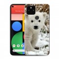 Дизайнерский пластиковый чехол для Google Pixel 5 Медведи