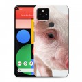 Дизайнерский пластиковый чехол для Google Pixel 5 Свинки