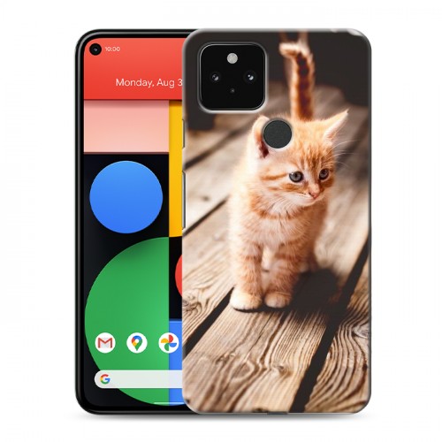 Дизайнерский пластиковый чехол для Google Pixel 5 Котята