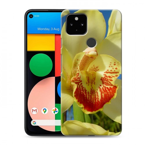 Дизайнерский силиконовый чехол для Google Pixel 4a 5G Орхидеи