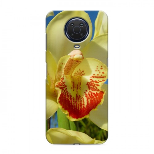 Дизайнерский силиконовый чехол для Nokia G20 Орхидеи