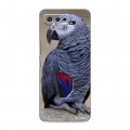Дизайнерский силиконовый чехол для ASUS ROG Phone 5 Попугаи