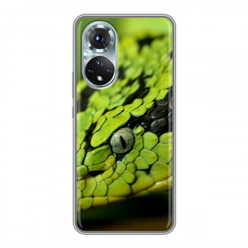 Дизайнерский пластиковый чехол для Huawei Honor 50 Змеи