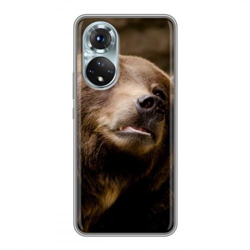 Дизайнерский пластиковый чехол для Huawei Honor 50 Медведи