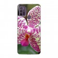 Дизайнерский силиконовый чехол для Lenovo K13 Note Орхидеи