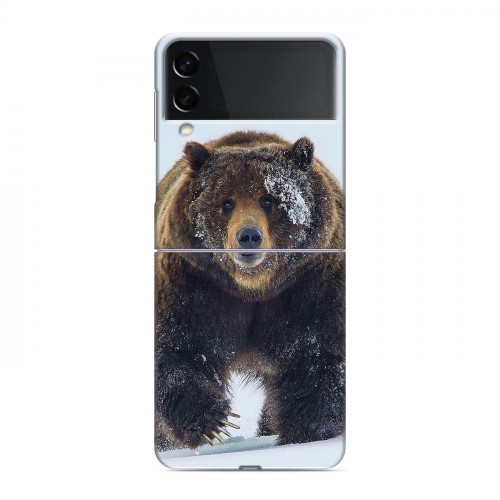Дизайнерский пластиковый чехол для Samsung Galaxy Z Flip 3 Медведь