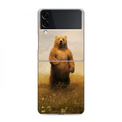 Дизайнерский пластиковый чехол для Samsung Galaxy Z Flip 3 Медведи