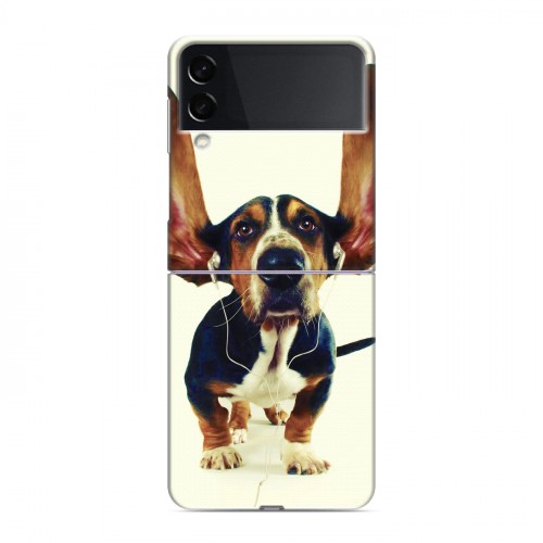 Дизайнерский пластиковый чехол для Samsung Galaxy Z Flip 3 Собаки