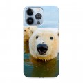 Дизайнерский силиконовый чехол для Iphone 13 Pro Медведи
