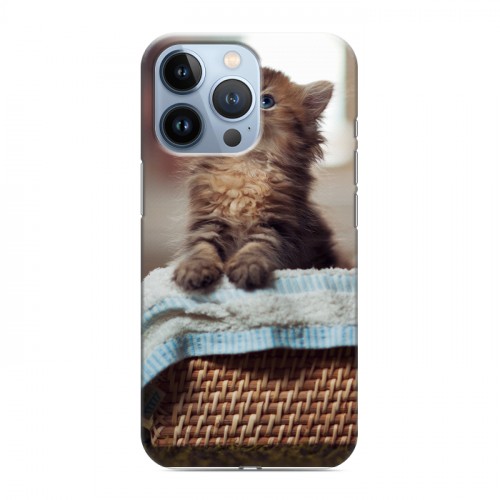 Дизайнерский силиконовый чехол для Iphone 13 Pro Котята