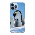 Дизайнерский пластиковый чехол для Iphone 13 Pro Max Пингвины