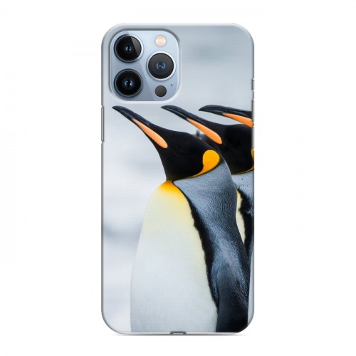 Дизайнерский силиконовый чехол для Iphone 13 Pro Max Пингвины