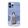 Дизайнерский силиконовый чехол для Iphone 13 Pro Max Пингвины
