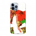 Дизайнерский силиконовый чехол для Iphone 13 Pro Max Флаг Белоруссии
