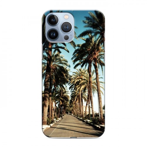 Дизайнерский силиконовый чехол для Iphone 13 Pro Max Hawaii