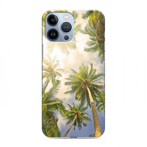 Дизайнерский силиконовый чехол для Iphone 13 Pro Max Hawaii