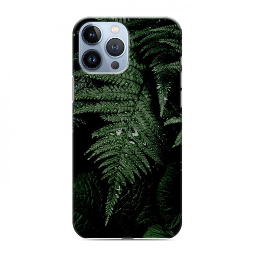 Дизайнерский пластиковый чехол для Iphone 13 Pro Max Нуарные листья