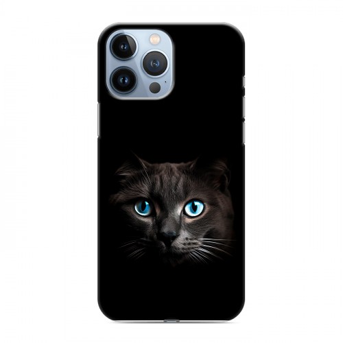 Дизайнерский пластиковый чехол для Iphone 13 Pro Max Кот в темноте