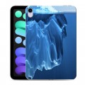 Дизайнерский пластиковый чехол для Ipad Mini (2021) айсберг