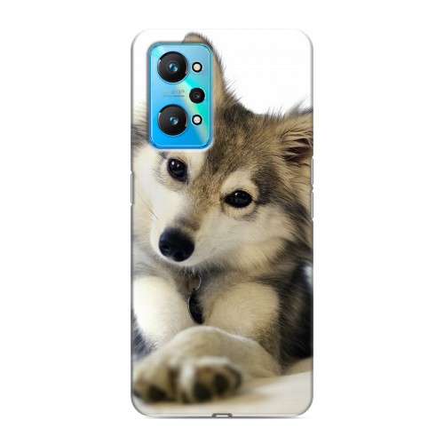 Дизайнерский силиконовый чехол для Realme GT Neo 2 Собаки