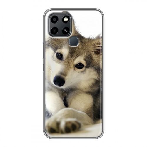 Дизайнерский силиконовый с усиленными углами чехол для Infinix Smart 6 Собаки