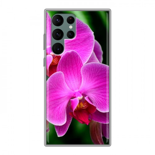 Дизайнерский пластиковый чехол для Samsung Galaxy S22 Ultra Орхидеи