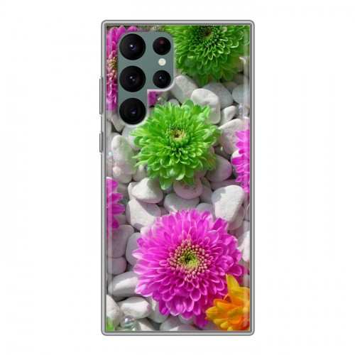 Дизайнерский пластиковый чехол для Samsung Galaxy S22 Ultra Хризантемы