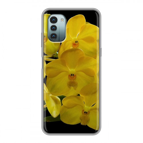 Дизайнерский пластиковый чехол для Nokia G11 Орхидеи