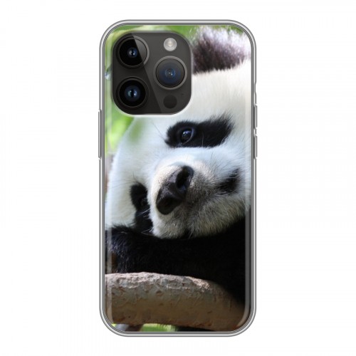 Дизайнерский силиконовый чехол для Iphone 14 Pro Панды