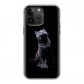 Дизайнерский силиконовый чехол для Iphone 14 Pro Max Коты