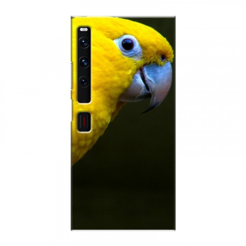 Дизайнерский пластиковый чехол для Huawei Mate Xs 2 Попугаи