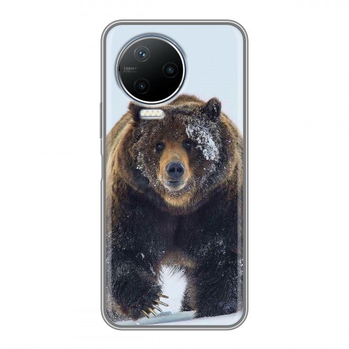 Дизайнерский пластиковый чехол для Infinix Note 12 Pro Медведь